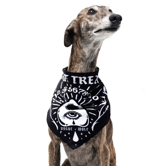 Rogue + Wolf ✦ “Give Me Treatos” Reversible Pet Bandana ✦ Black Ouija Vegan XS/S - Picture 3 of 14
